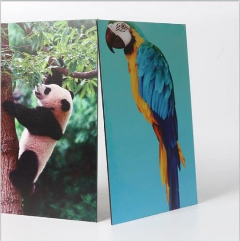 3mm UV Printing On ACP Aluminum Composite Panels